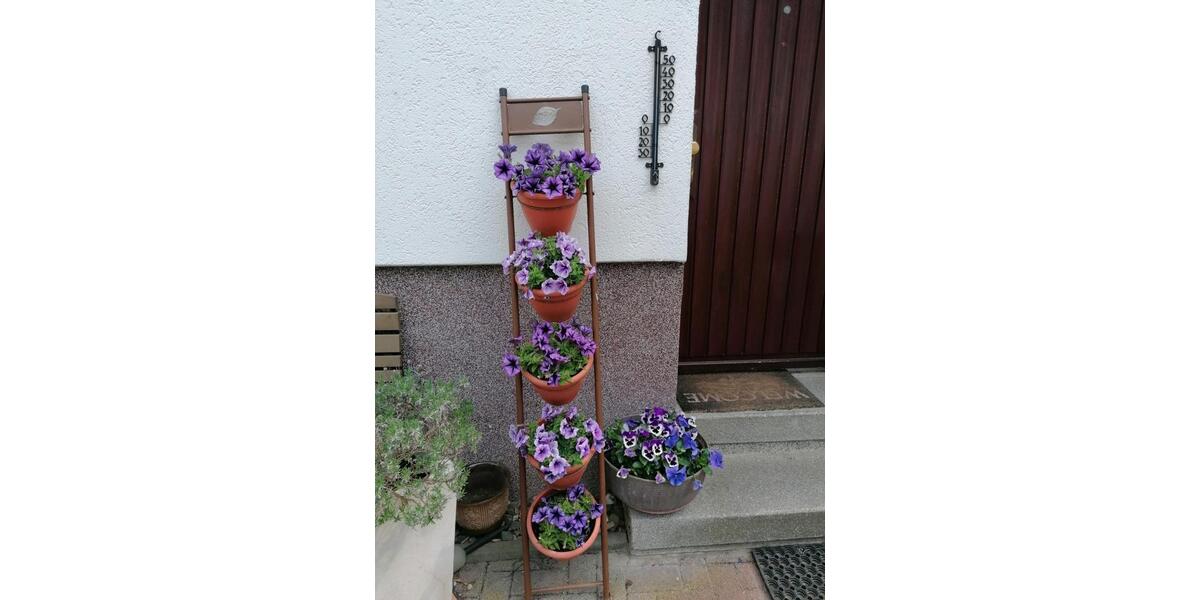 Etagenwohnung Braunschweig Heidberg-Melverode - 4 Zimmer, 89 m&sup2;, 750&euro; | Angebot:25283131