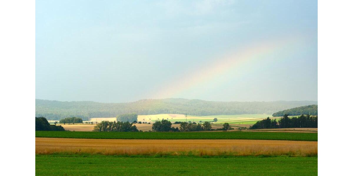 Einfamilienhaus Schladen-Werla Werla - 6 Zimmer, 218 m&sup2;, 460.000&euro; | Angebot:25975136