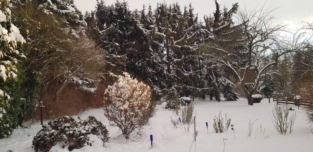 Bauernhaus, Landhaus Cremlingen Weddel - 1 Zimmer, 316 m&sup2;, 890.000&euro; | Angebot:25667755