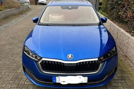 Skoda Octavia 123.000 km 17.300 &euro; Schellerten 31174